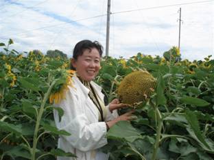 06年阿勒泰地區土肥站的專(zhuān)家在察看油葵示范地.jpg