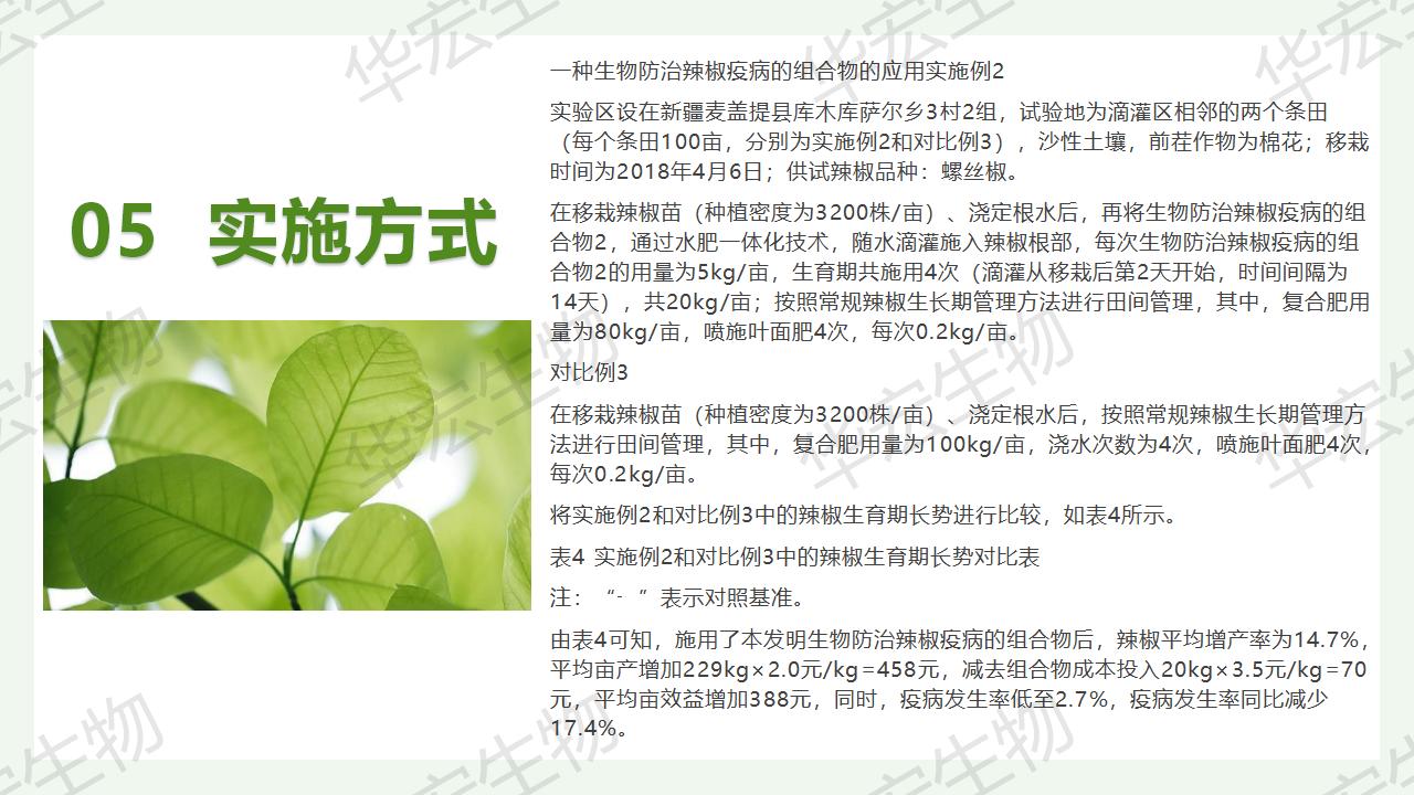 一種生物防治辣椒疫病的組合物及制備方法和應用_23.jpg