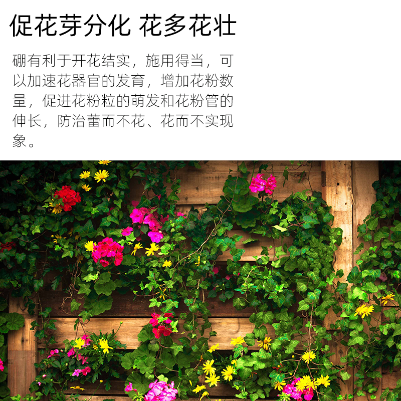 花多.png